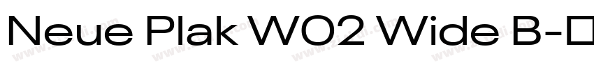 Neue Plak W02 Wide B字体转换